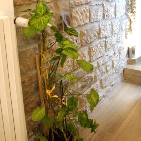 Il Casale Del Borgo Bed & Breakfast Cancellara Luaran gambar